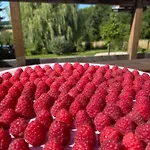 Oda ve Kahvaltı Pivoine D Hotes Fralignes