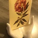 Pivoine D Hotes Oda ve Kahvaltı