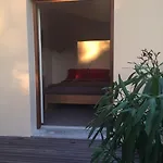 Pivoine D Hotes Fralignes