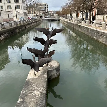 Pivoine D Hotes Fralignes