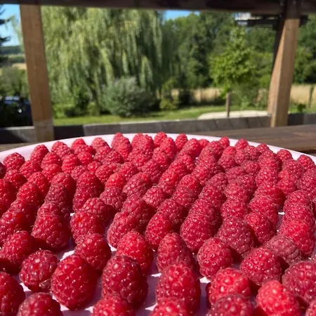 Bed & Breakfast Pivoine D Hotes Fralignes