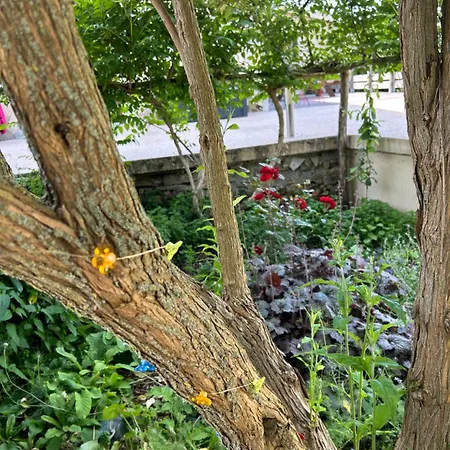 Bed & Breakfast Pivoine D Hotes 3*