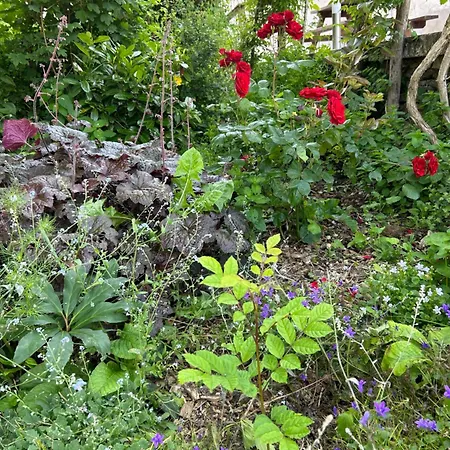 Pivoine D Hotes 3* Fralignes