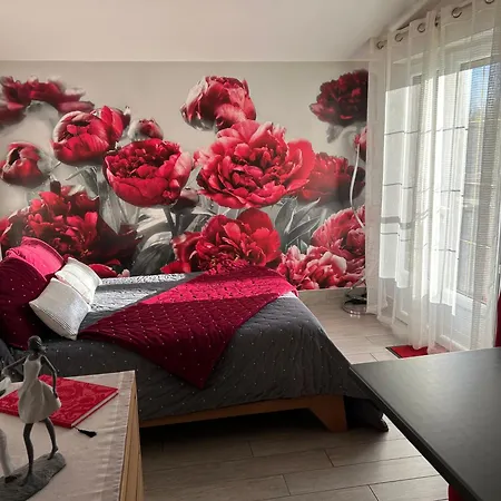 Pivoine D Hotes