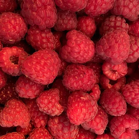 Pivoine D Hotes 住宿加早餐酒店 Fralignes