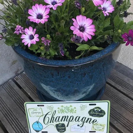 Pivoine D Hotes Bed & Breakfast