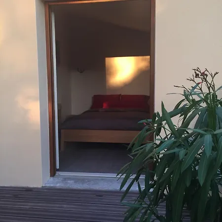 Pivoine D Hotes Fralignes