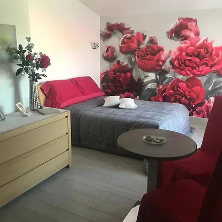 Pivoine D Hotes