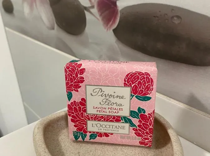 Pivoine D Hotes 住宿加早餐酒店