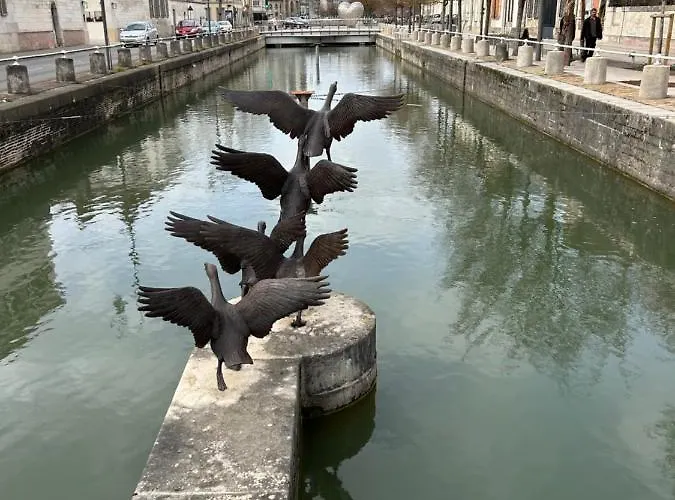 Pivoine D Hotes Fralignes