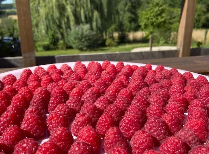 住宿加早餐酒店 Pivoine D Hotes Fralignes