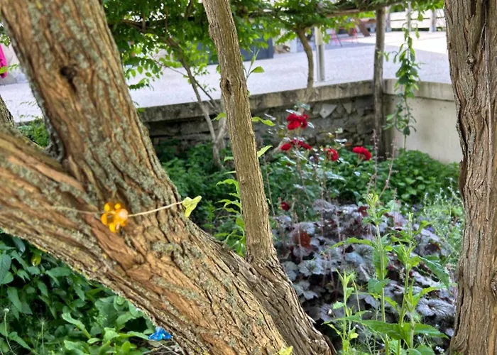 住宿加早餐酒店 Pivoine D Hotes 3*