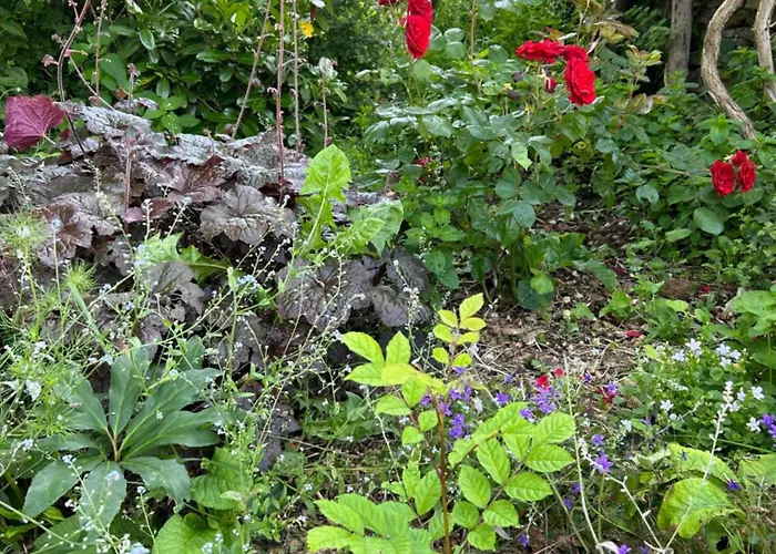 Pivoine D Hotes 3* Fralignes