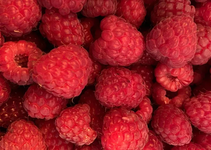 Pivoine D Hotes 住宿加早餐酒店 Fralignes