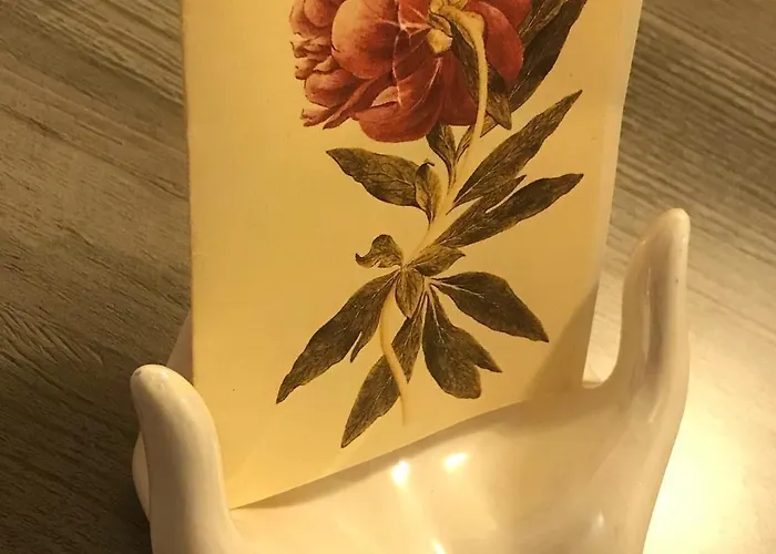 Pivoine D Hotes 住宿加早餐酒店