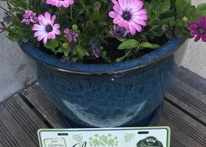 Pivoine D Hotes 住宿加早餐酒店