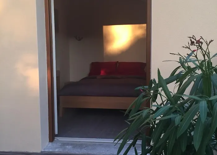 Pivoine D Hotes Fralignes